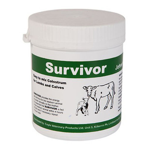 Picture of Survivor Colostrum 400g