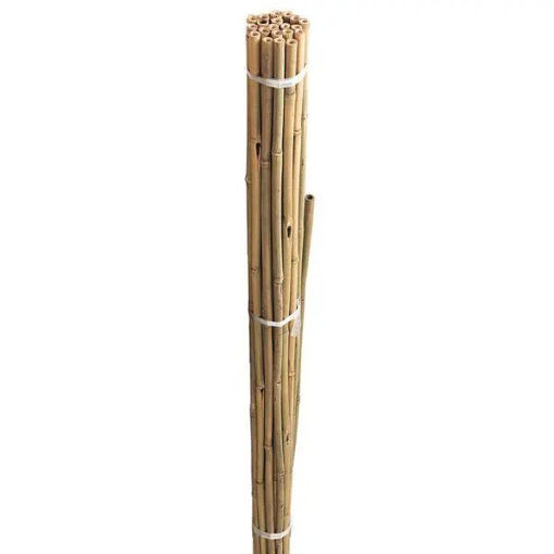 Picture of Grow It Bamboo Canes Bundle 210cm (10 Pack)