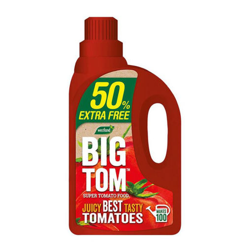 Picture of Westland Big Tom Tomato Feed 2lyr
