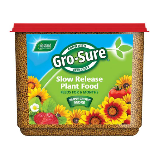 Picture of Westland Gro-Sure Slow Release Plant Food 2kg