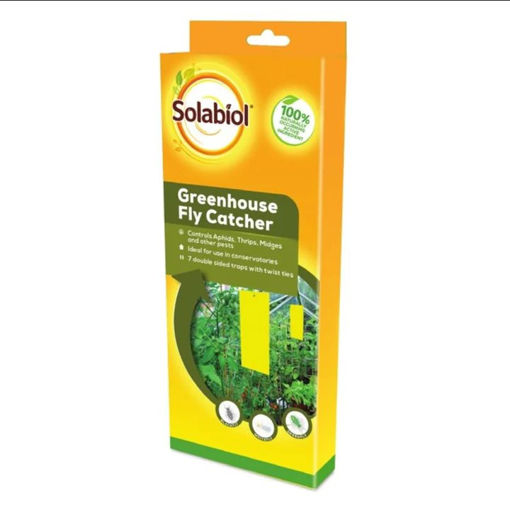 Picture of Greenhouse Fly Catchers 3pk
