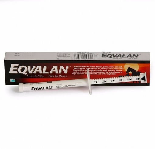 Picture of Eqvalan Horse Paste 6.42g