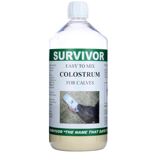 Picture of Survivor Calf Colostrum 1l