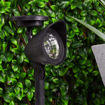Picture of Prima 3L Spotlight (4 Pieces/Pack)