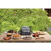 Picture of Ninja Woodfire Electric BBQ Grill & Smoker | OG701UK