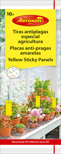 Picture of Aeroxon Yellow Sticky Panels 10pk