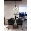 Picture of Eglo Torrontes Pendant Light | 98291